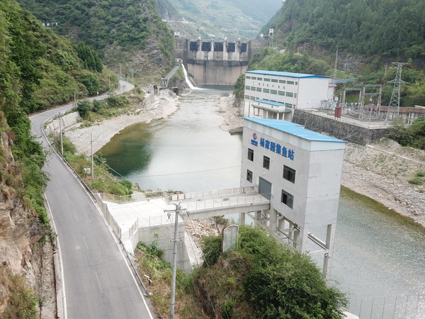 桐梓河公司 楊家園集魚(yú)站.jpg