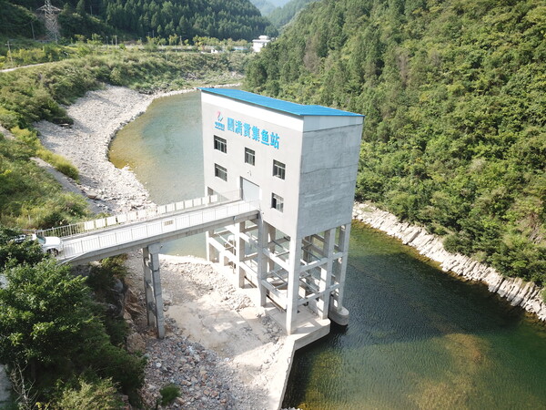 桐梓河公司 圓滿(mǎn)貫集魚(yú)站.jpg